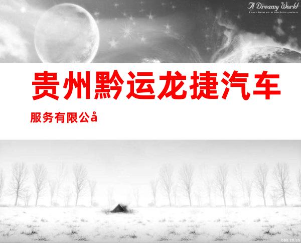 贵州黔运龙捷汽车服务有限公司