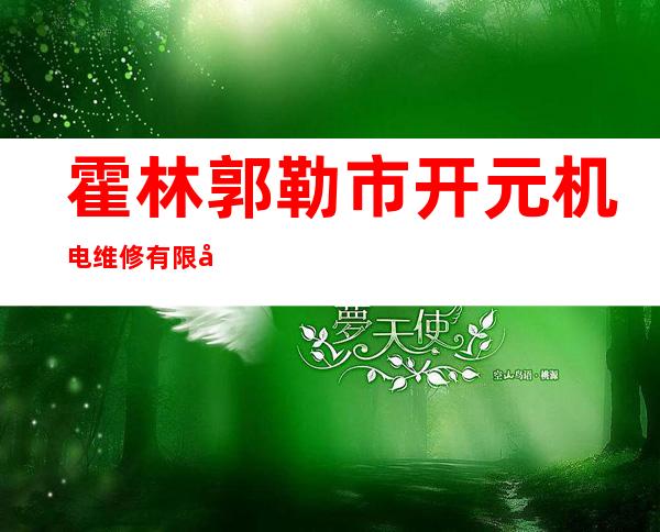 霍林郭勒市开元机电维修有限公司